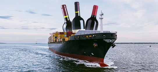 How to Become a Wine Importer and Distributor